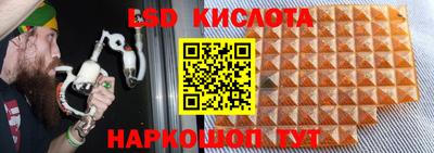 ПСИЛОЦИБИНОВЫЕ ГРИБЫ Краснознаменск