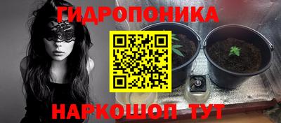ПСИЛОЦИБИНОВЫЕ ГРИБЫ Краснознаменск