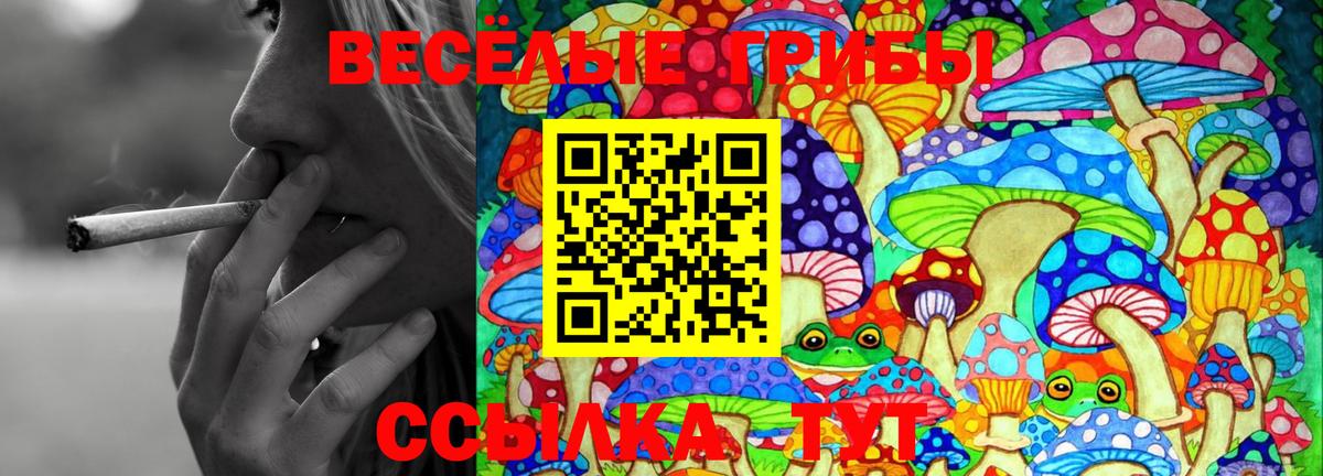 Псилоцибиновые грибы прущие грибы Краснодар